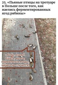 30 любопытных снимков с просторов интернета
