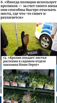 30 любопытных снимков с просторов интернета