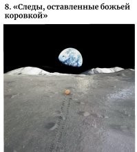 30 любопытных снимков с просторов интернета