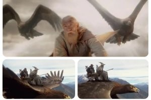 Не, он больше по орлам и бабочкам.