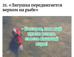 30 любопытных снимков с просторов интернета