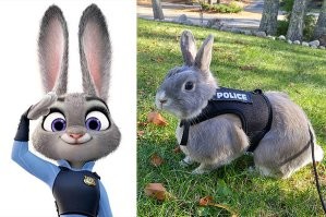 30 любопытных снимков с просторов интернета