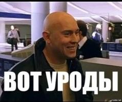 Особенности жизни в Германии, которые у эмигрантов вызывают культурный шок