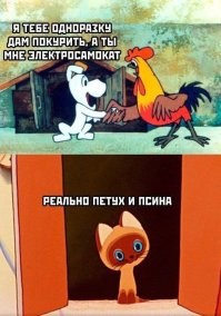 Два нарушителя встретились на пешеходном переходе