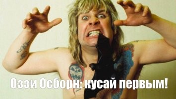 Летучая мышь укусила певицу на концерте
