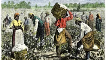 Вот его "дача" !