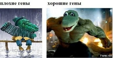 Намешалось