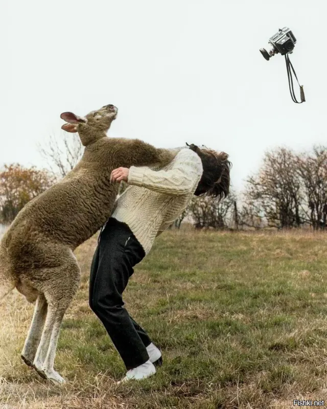 Ну тут очевидно - человек невидимка снимает, как кенгуру даёт пи$ды журналюге.
