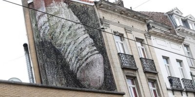 Брюссель графити , член этот виден с женской католической школы точней прям и в двор выходит и главное прошло лет 20 и его так и не зарисовали :)