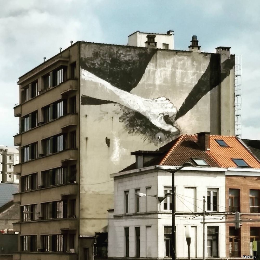 Брюссель графити , член этот виден с женской католической школы точней прям и в двор выходит и главное прошло лет 20 и его так и не зарисовали :)
