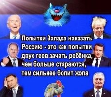 Политический мониторинг (351)