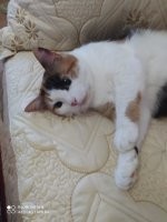 Моя красавица.