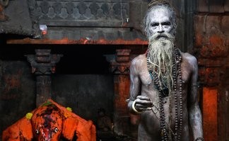 Пусть пошлют туда Агхори которые поедают трупы и не боятся смерти, один хрен там одни мертвецы - людоеды соберутся.