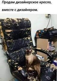 И когти об кожаную дверь точит .
Или может это вот этот кот ?