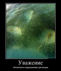 Просто гифки, всякие и&nbsp;разные