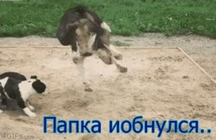 Просто гифки, всякие и&nbsp;разные