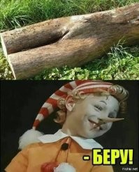 Не эскорт, а имидж-модель