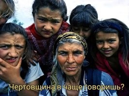 Феномен загадочного леса Трансильвании Хойя Бачу