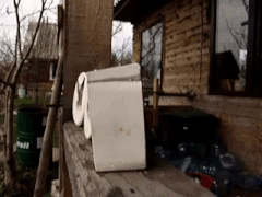 Просто гифки, всякие и&nbsp;разные