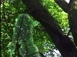 А глава администрации выглядит вот так? )