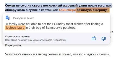 Ну, вообще-то когда разобрались, то это оказалась безногая ящерица, а не змея.