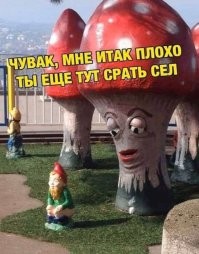 Православные активисты пожаловались в прокуратуру на скульптуры грибов в Коми
