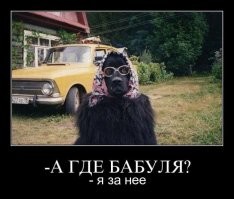 Скрины из соцсетей&nbsp;&nbsp;&nbsp;&nbsp;&nbsp;&nbsp;&nbsp;&nbsp;&nbsp;&nbsp;&nbsp;&nbsp;