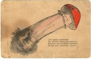 Православные активисты пожаловались в прокуратуру на скульптуры грибов в Коми