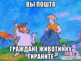 У них разные характеры: мужчина нашёл змею, которая кусает сразу двумя головами