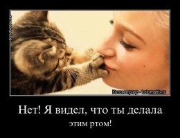 Кот показал, насколько ему чужды хозяйские поцелуи