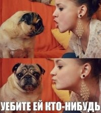 Кот показал, насколько ему чужды хозяйские поцелуи