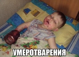 Феномен загадочного леса Трансильвании Хойя Бачу