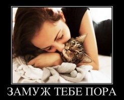 Кот показал, насколько ему чужды хозяйские поцелуи