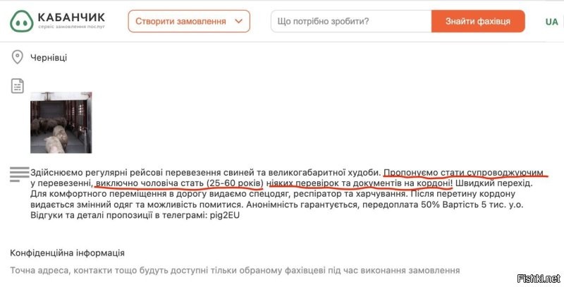 К вопросу о "першасортности"

В Черновцах предприимчивый хохол предлагает услугу безопасной перевозки уклонистов за границу в одном грузовике со свиньями. Для комфортного перемещения дают спецодежду, респиратор и питание. Стоимость услуги 5000 у.е.