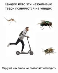 Самокатчик сбил маму с малышом в Калуге