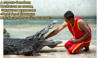 На общую тему&nbsp;