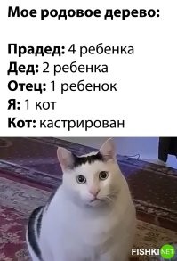 Не ищите здесь смысл. Здесь в основном маразм