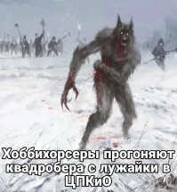 "Оствьте "Вискас" своему коту": врачи предупреждают, что квадробинг опасен для здоровья