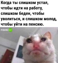 Скрины из соцсетей&nbsp;&nbsp;&nbsp;&nbsp;&nbsp;&nbsp;&nbsp;&nbsp;&nbsp;&nbsp;&nbsp;&nbsp;