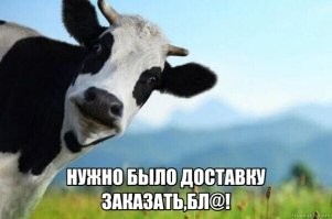 В Чувашии корова пришла в магазин 