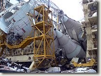 Сокровища - это не только золотые безделушки, инкрустированные брильянтами. А воссоздать к примеру ЭТО будет гораздо дороже, чем янтарную комнату или яйца Фаберже.