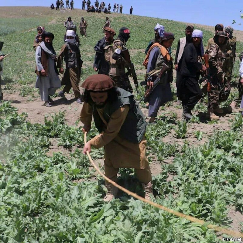 В Афганистане производство наркотиков сократилось на 95%..
В отчете ООН говорится, что из-за уничтожения посевных полей мака в Европе ощущается острая нехватка героина.

Так может талибы не такие злодеи, как их нам представляли?..
