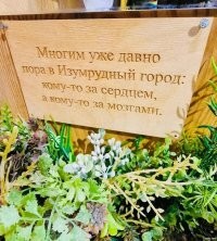 Политический мониторинг (356)