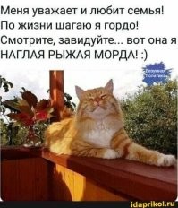 Человек, бери нас и неси к себе домой!