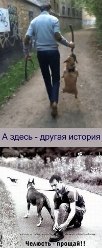 Просто гифки, всякие и&nbsp;разные