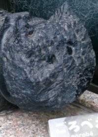 Судя по шероховатостям, мордочки явно не стерты руками, а отколоты или сбиты инструментами. После рук была бы гладкая полированная поверхность. Тем более,что гранит стереть ладонями практически нереально. Как пример - бронзовые статуи, где материал намного мягче, но ладонями только блеск придают..