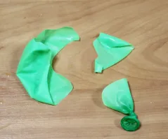 Самый высокий мужчина из Египта и самая маленькая девушка из Индии