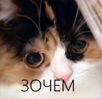 Снимут новый сериал о Штрилице: "Экспансия"