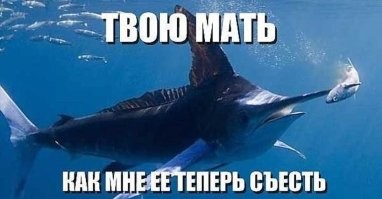Ну вот, прицепилась прилипала к акуле с рачками на коже. Спиной прицепилась. Как она раков достает-то? 
Примерно из той же серии