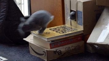 Так и не досчитал.. ((